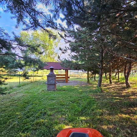 Apartamenty Jasmin I Lilia Jez. Sunowo Kolo Elku Chrzanowo Екстериор снимка